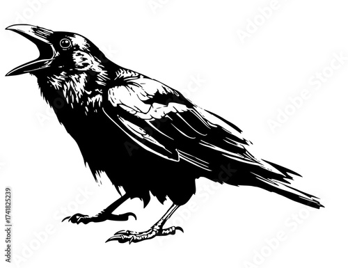 Black raven crow bird illustration with detailed feathers. Hand-drawn style corvid artwork with open beak. Perfect for gothic, dark, wildlife, nature, Halloween, mystery, tattoo design concepts.
