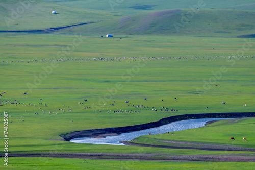 The flock of sheep on the summer Hulunbuir grassland in Inner Mongolia Autonomous Region, China
