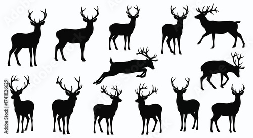 Collection of black silhouette deer with antlers in various poses on white background stag animal