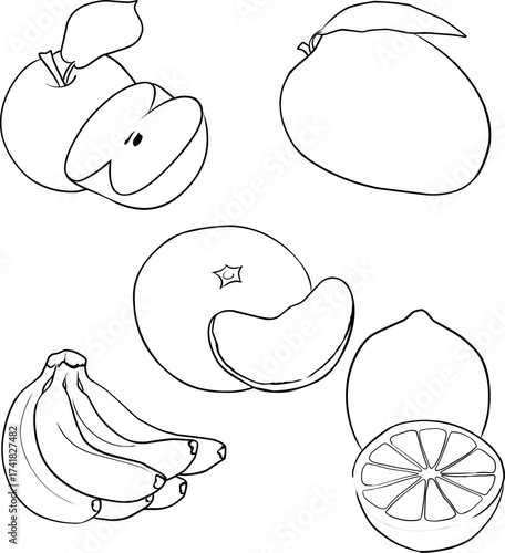 FRUIT LINEART ILLUSTRATION ORANGE MANGO APPLE LEMON BANANA