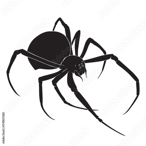 Black silhouette drawing of a spider, vector illustration, white background