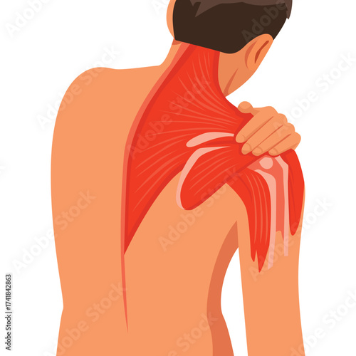Man holding his painful shoulder, showing inner muscles and bones, Isolated on white background.
