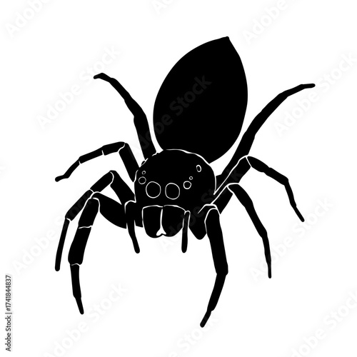 Black silhouette drawing of a spider, vector illustration, white background