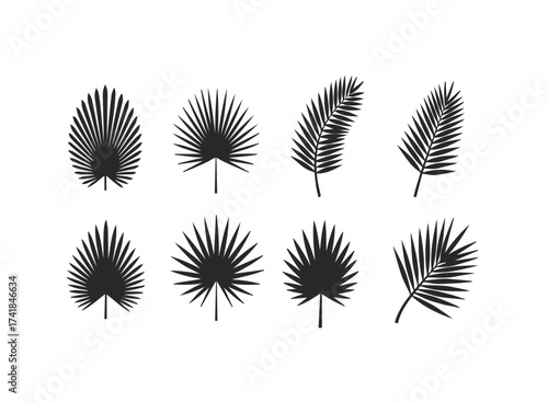 Stylized whisk illustration for culinary or baking designs