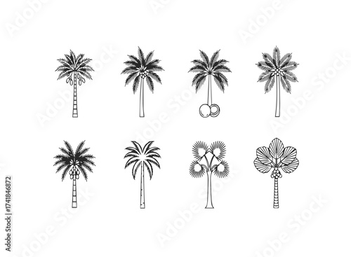 Whisk illustration for cooking and baking designs