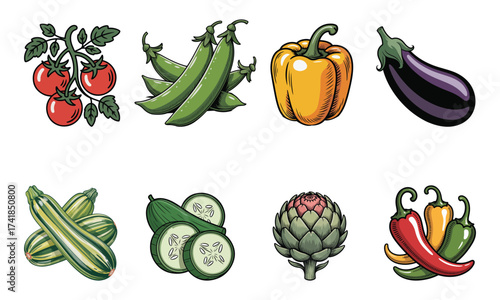 Colorful Vegetable Set Vector Illustration