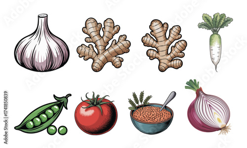 Colorful Vegetable Set Vector Illustration