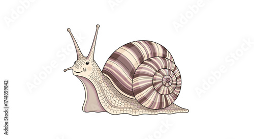 An illustration of a light brown snail with a spiraled shell marked by purple stripes, moving slowly across a white background.