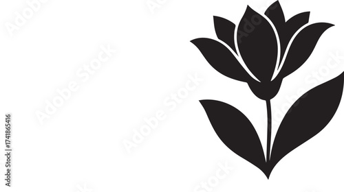 Fantasy patterned flower with vibrant cosmic colors and intricate details silhouette
