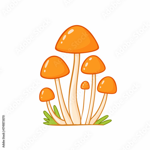 Whimsical Mushroom Cluster: A charming illustration of a cluster of mushrooms, featuring vibrant orange caps and slender stems, evoking a sense of fairytale wonder.