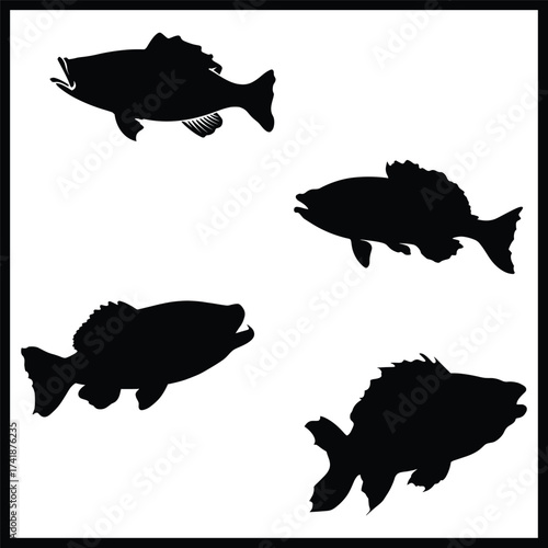 Bass Fish silhouette, Double Bass Fish set box icon, Bass Fish illustration, silhouette, set icon, silhouette, Bass Fish icon