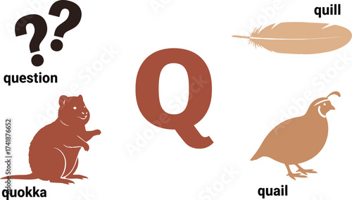 Learn the letter q with question quokka quill and quail images editable vector