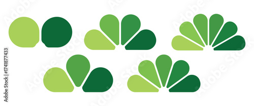 Green feather peacock infographic template. Logo evolution growth, step process graphic