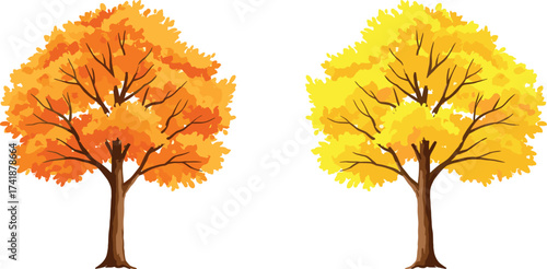 Autumn season trees with orange and yellow foliage, fall nature landscape, seasonal forest design elements, colorful leaves for outdoor background.