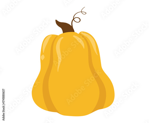 A bright yellow butternut squash with a curly stem, isolated on a white background, representing healthy eating and autumn harvest