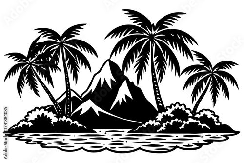 palm trees on the beach