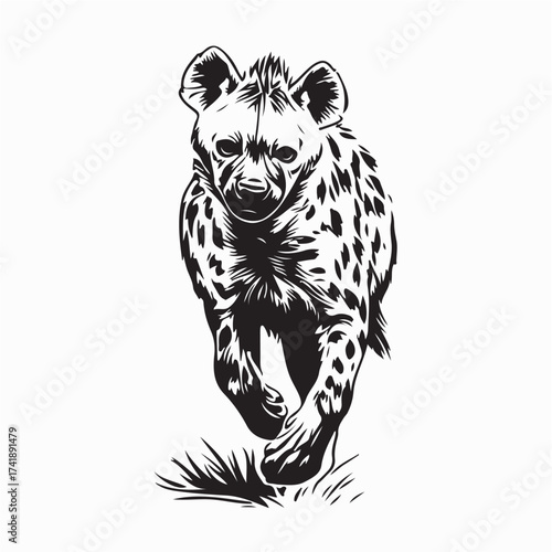 Aggressive Wild Hyena Walking Hunting for Prey Vector Illustration