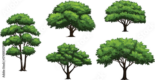 Collection of beautiful green trees illustration, natural forest design, eco friendly garden elements, summer foliage plants, organic nature outdoor landscape decoration