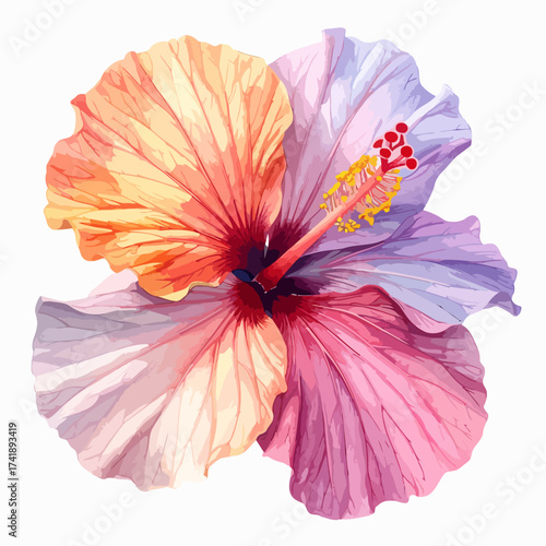 Watercolor hibiscus flower illustration with vibrant colors and detailed petals.