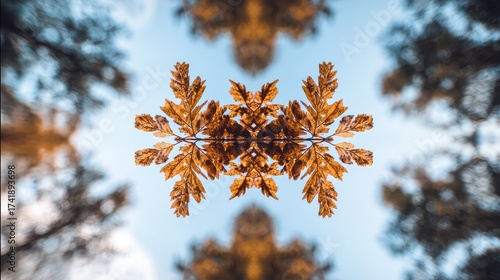Symmetrical Fall Foliage Arrangement: Sharp Leaf Textures Pop Against Blurred, Serene Tree and Sky Backdrop