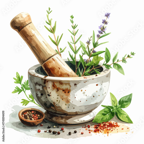 Stone mortar and pestle with fresh culinary herbs and spices.