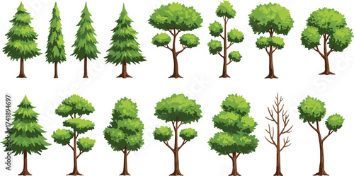 Collection of cartoon trees, green foliage, pine trees, summer forest, deciduous plants, natural landscape design, outdoor garden element, ecology vector illustration