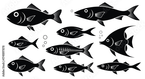 Collection of silhouetted aquatic creatures swimming underwater.