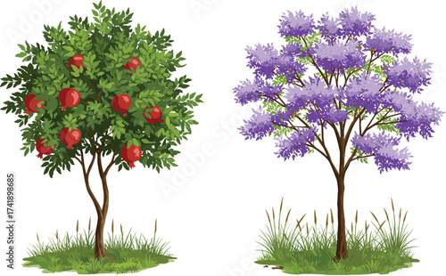 Apple tree with red fruits beside purple flowering tree, vibrant foliage contrast, botanical diversity, outdoor garden scene, seasonal plant variation
