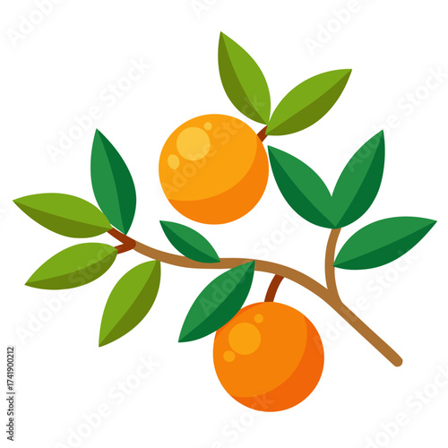 Orange Branch Vector