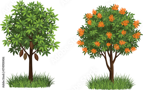 Cacao fruit tree and orange flower tree on grassy patch, seasonal contrast, botanical diversity, nature illustration, vibrant foliage, landscape artwork