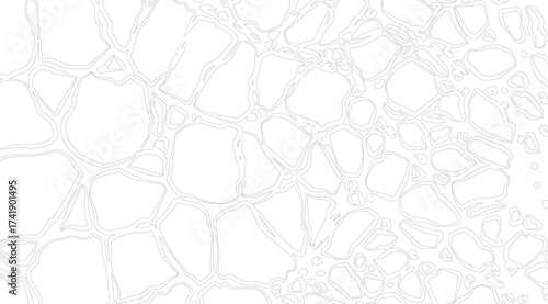 A mesmerizing white background showcases a network of organic shapes outlined in delicate gray, creating an intricate and visually appealing abstract design with a natural, cellular aesthetic