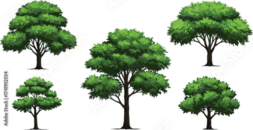 Collection of green leafy tree illustrations, natural forest elements, eco friendly foliage design, botanical landscape vegetation, park environment resources, nature graphics