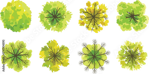 Collection of green tree top view illustrations, decorative foliage, landscape design elements, nature plants, garden greenery, park trees, outdoor vegetation