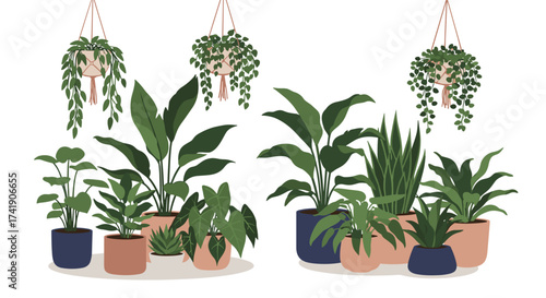 A collection of assorted potted houseplants creating a vibrant indoor jungle.