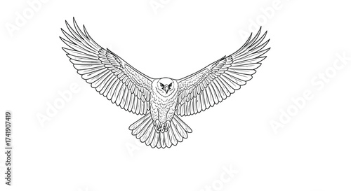 A detailed sketch of an owl in flight with its wings spread wide and wide.