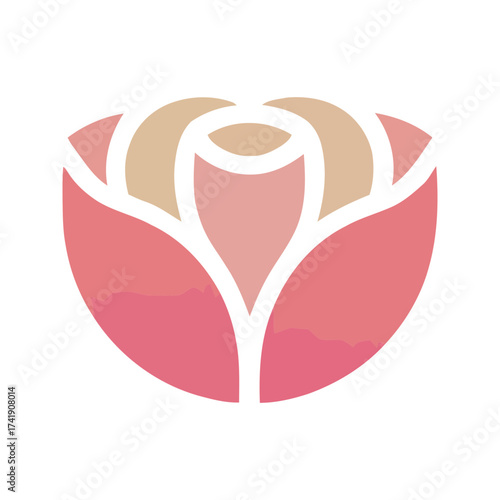 Rose flower floral blossom bloom petal nature beauty romantic love valentine gift