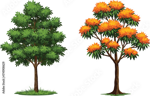 Green tree beside orange-tipped tree, seasonal foliage contrast, vibrant nature scene, botanical diversity, outdoor garden landscape, plant species variation, ecology