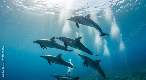 Fototapeta samoprzylepna Pod of dolphins swimming underwater in clear blue ocean water with sun rays