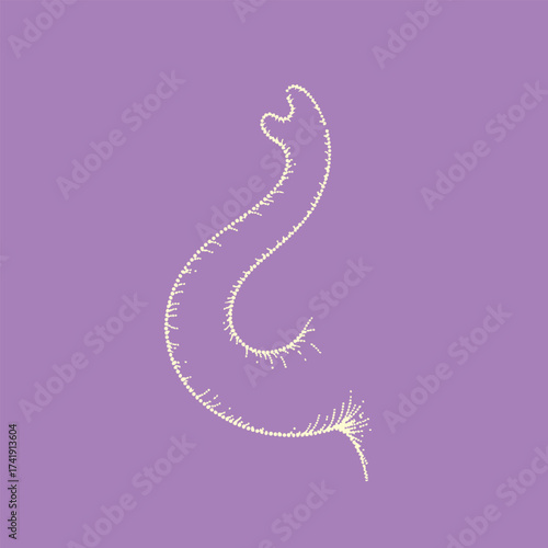 Delicate white dandelion seed head with fine filaments and a curved stem against a soft purple