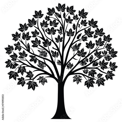 A black silhouette of a maple tree