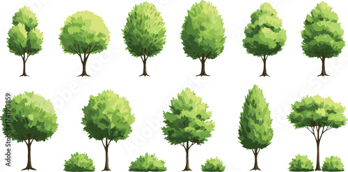 Collection of green trees, leafy shrubs and natural plants, landscape design elements for garden, park, outdoor scenery, forest, and decorative nature.