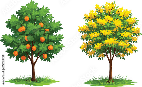 Orange fruit tree and yellow blossom tree in spring garden, seasonal contrast, botanical diversity, nature illustration, flowering flora, landscape artwork