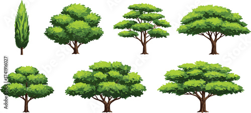 Collection of realistic green trees illustration, natural forest elements, garden plants, outdoor park vegetation, eco friendly landscape, decorative nature designCollection of realistic green trees 