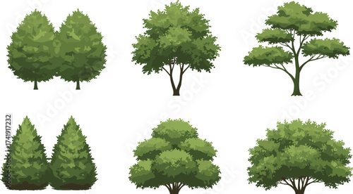 Collection of realistic green trees, forest plants, leafy foliage, natural landscape elements, outdoor environment design, nature illustration, garden and park decoration.