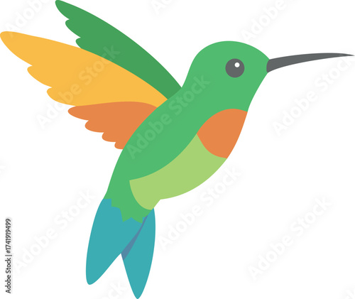 hummingbird vector illustrator