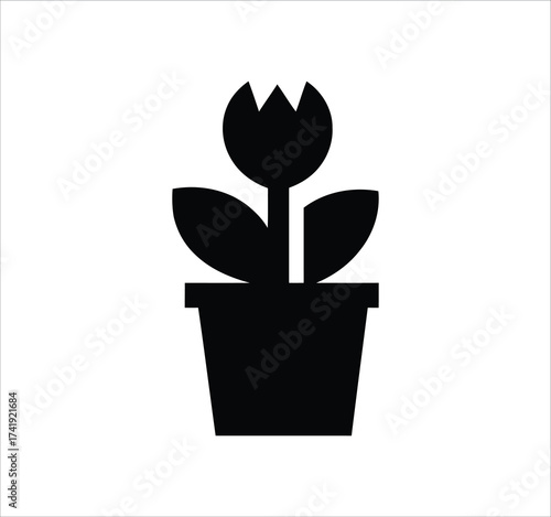 gardening, garden, plants, flowers, soil, watering, seeds, planting, greenhouse, horticulture, landscape, lawn, pruning, fertilizer, compost, herbs, vegetables, fruits, pot, planter, garden tools, sho
