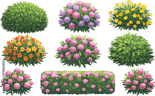 Colorful flowering bushes, garden shrubs with blossoms, decorative plants for landscape design, vibrant nature elements, green foliage with seasonal flowers, outdoor beauty.