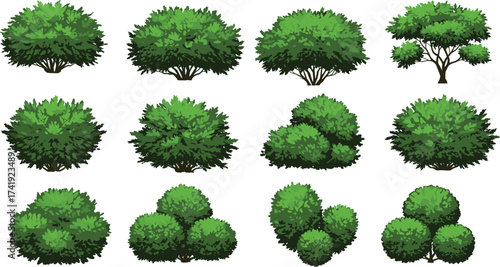 Bush illustration, small tree vector, green foliage, nature clipart, garden plant, landscaping element, outdoor greenery, shrub design, leaf texture, topiary art
