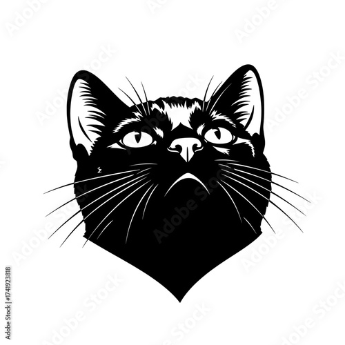 Close up black cat head looking upwards with wide eyes and prominent whiskers an artistic illustration isolated on white background isolated on transparent background