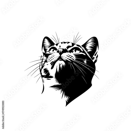 A striking black and white sketch of a cat s face with intense eyes and whiskers rendered in a dynamic artistic style isolated on white background isolated on transparent background